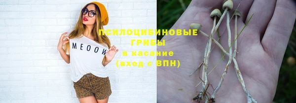 ешки Алзамай