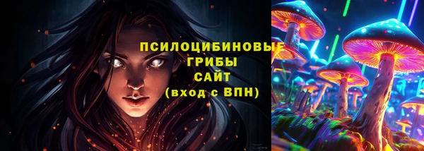 марки lsd Абаза