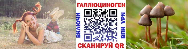 Галлюциногенные грибы Psilocybe  что такое   Бобров 